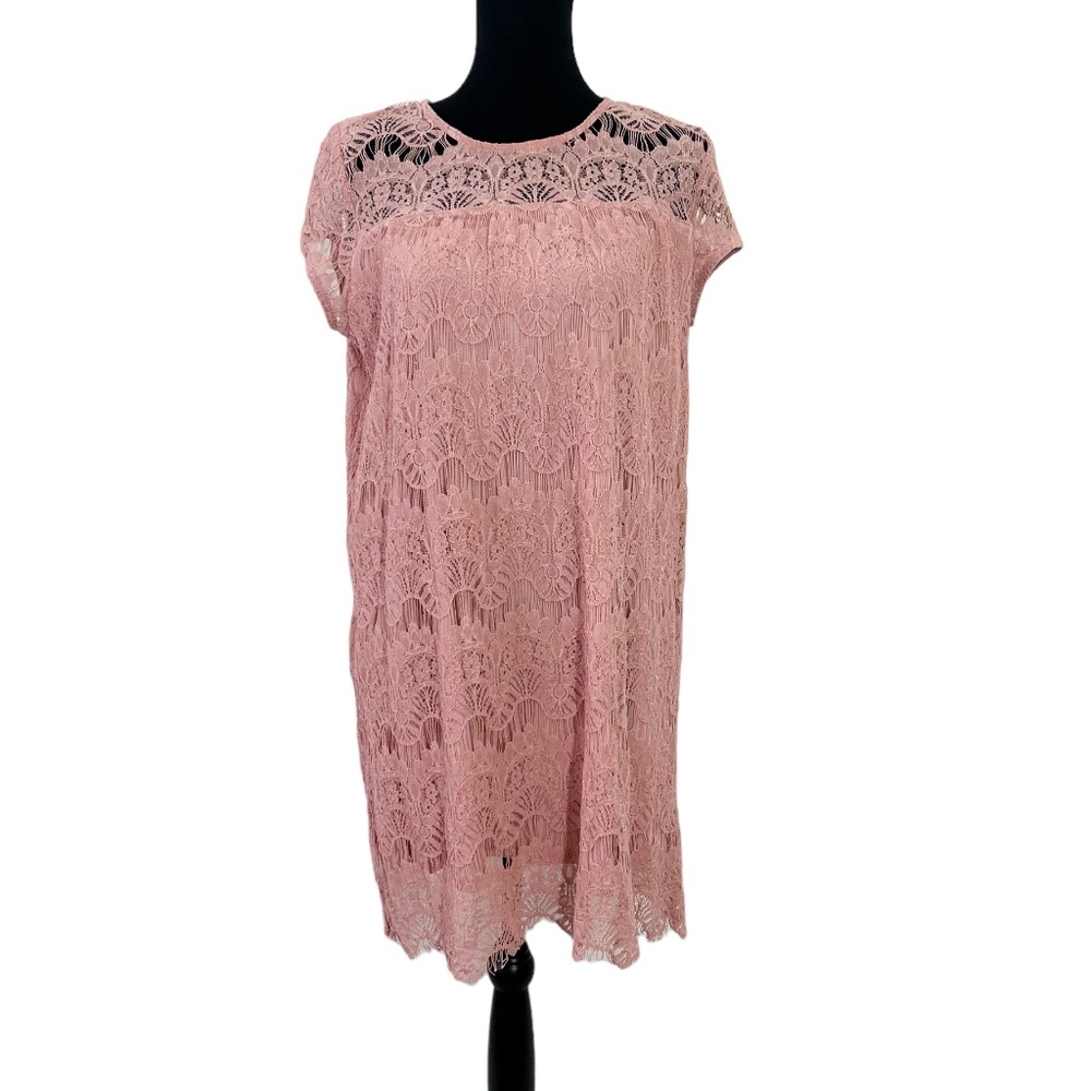 Rebellion Blush Pink Lace Dress